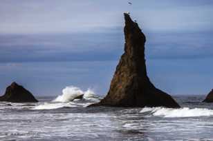 Bandon Beach-6866